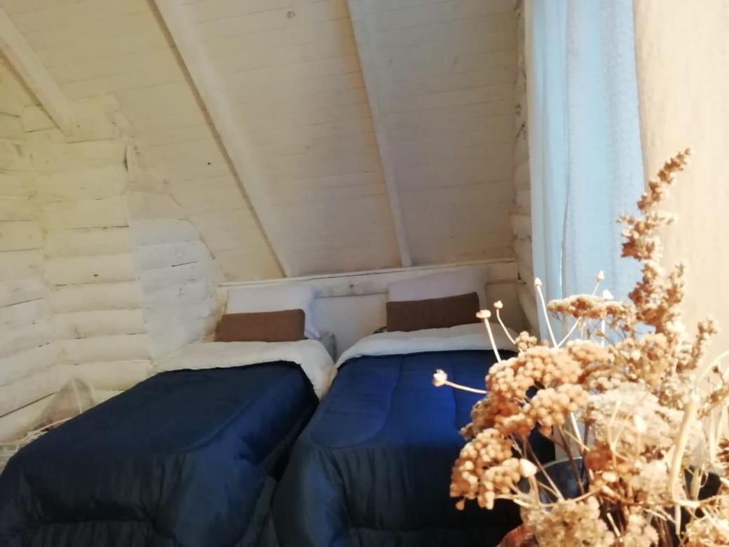 Cabana Azul Trevelín Extérieur photo